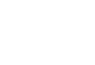 Skoda_nieuw